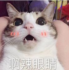 DƬ